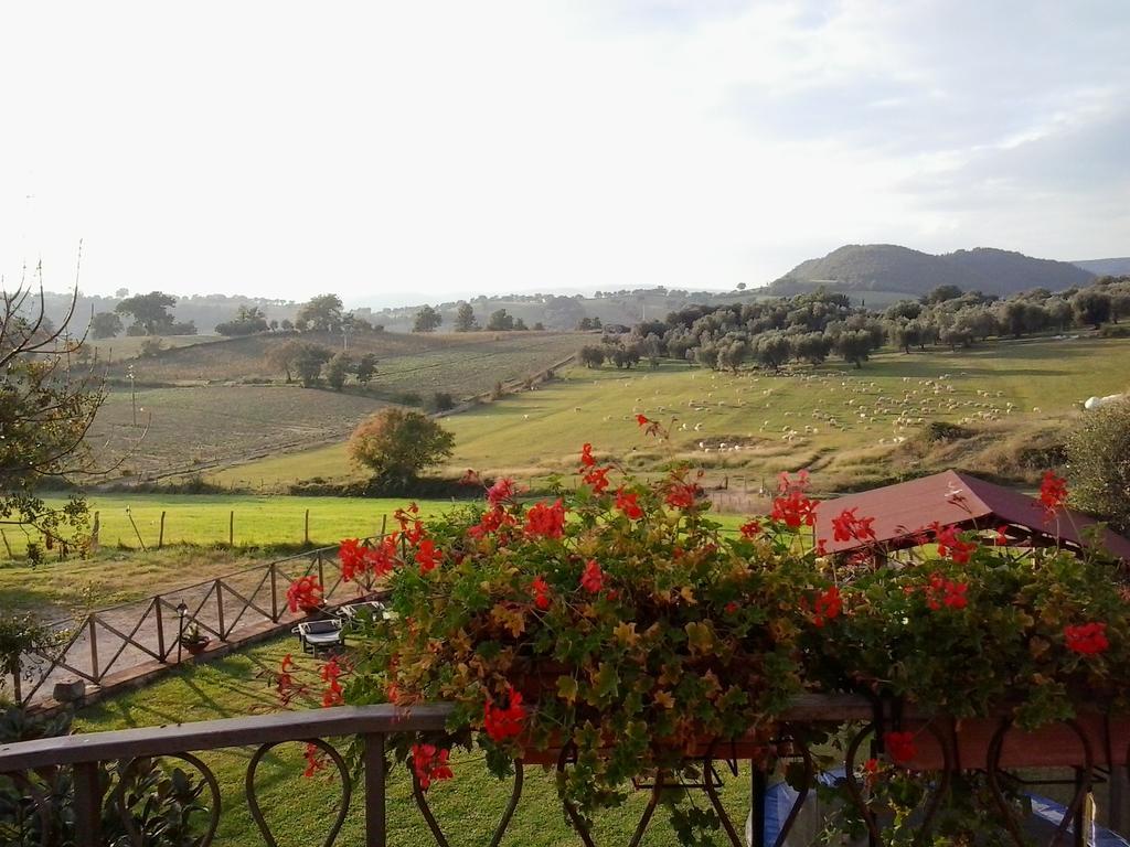 Agriturismo La Valle Degli Ulivi Semproniano Buitenkant foto