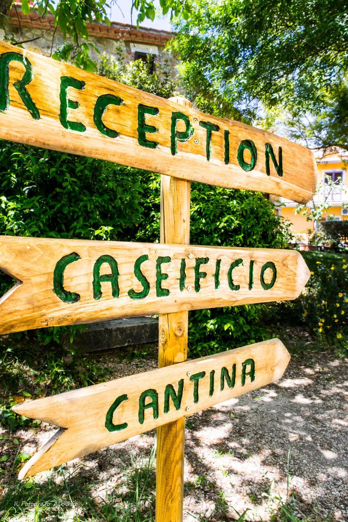 Agriturismo La Valle Degli Ulivi Semproniano Buitenkant foto