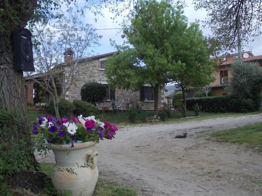 Agriturismo La Valle Degli Ulivi Semproniano Buitenkant foto